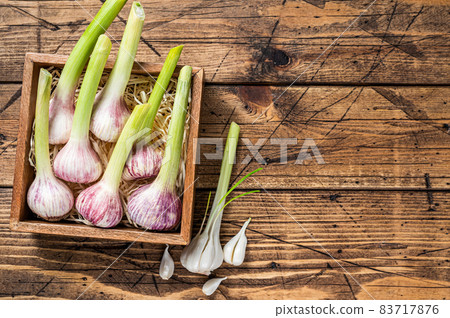 Young Spring garlic bulbs and cloves in wooden box. Wooden background. Top view. Copy space Young Spring garlic bulbs and cloves in wooden box. Wooden background. Top view. Copy space 83717876