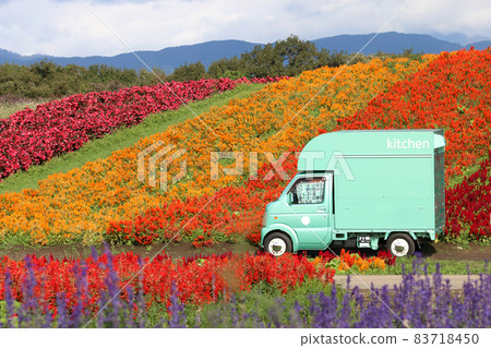 Mobile sales car in the flower field Mobile sales car in the flower field 83718450