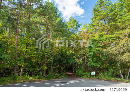 Saiko Bat Cave Tree Sea Promenade Entrance 83719069