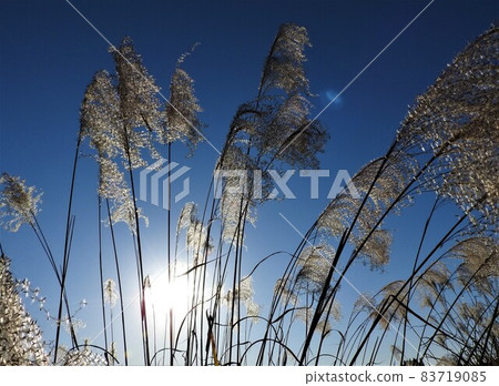 我感覺到了冬季準備的跡象。 83719085