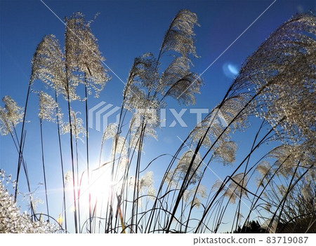 I feel the signs of winter preparation. 83719087