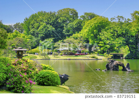 東京六義園,靠近吹上再也,風景秀麗的特殊地方 東京六義園,靠近吹上再也,風景秀麗的特殊地方 83719151