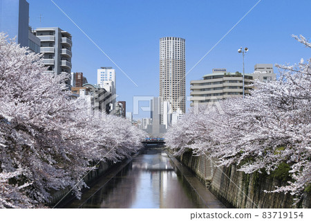 中目黑公園附近,東京目黑川櫻花盛開 中目黑公園附近,東京目黑川櫻花盛開 83719154
