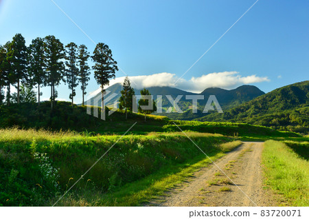 幽靜山路的風景[長野縣] 83720071