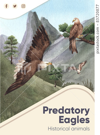 Poster template with bald eagle concept,watercolor style. Poster template with bald eagle concept,watercolor style. 83720877