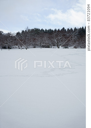 北陸金澤大城寺九陵公園下大雪,雪地上有雪橇的痕跡 北陸金澤大城寺九陵公園下大雪,雪地上有雪橇的痕跡 83721094