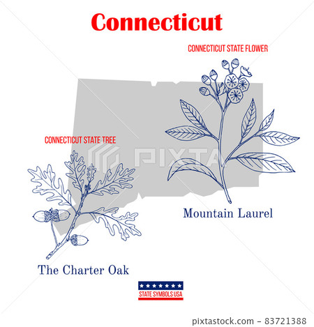 Connecticut. Set of USA official state symbols Connecticut. Set of USA official state symbols 83721388