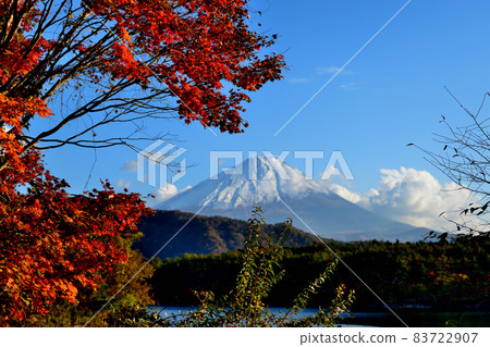 Scenery of Mt. Fuji and autumn leaves from Saiko in early autumn 83722907