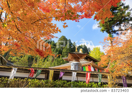 紅葉盛開的高野山 83723403