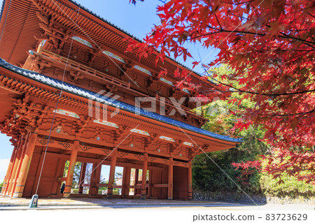 Koyasan in full bloom of autumn leaves 83723629