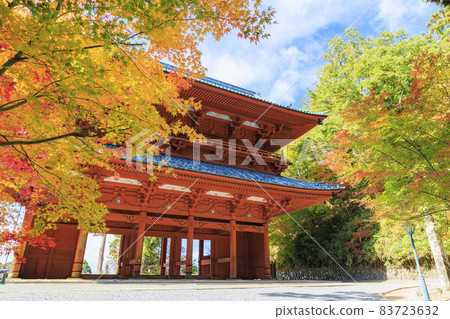 Koyasan in full bloom of autumn leaves 83723632