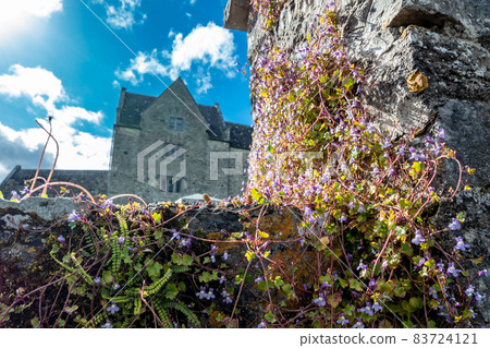 Parke's Castle in County Leitrim was once the home of English planter Robert Parke 83724121