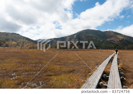 Autumn Ozegahara Autumn Ozegahara 83724756