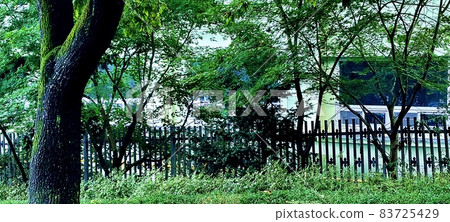 首爾北漢山步道沿線的清新綠色風景 83725429