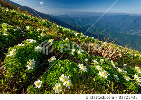 Hakusanichige community on the Joetsu border and Tairapyoyama ridgeline 83725435