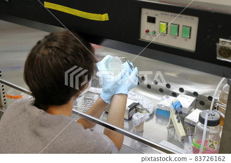 Life science experiment 83726162