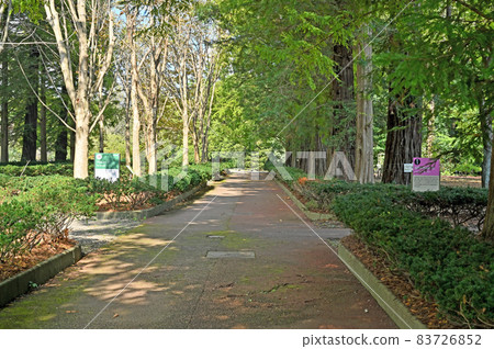 筑波實驗植物園 筑波實驗植物園 83726852