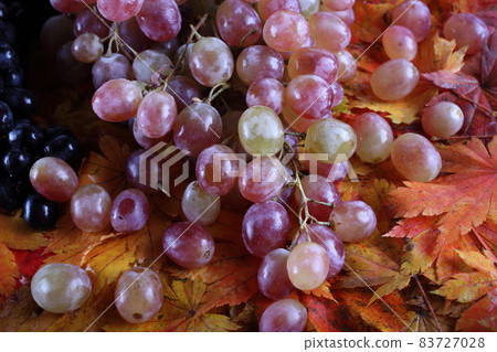 Grape on autumn leaves Grape on autumn leaves 83727028
