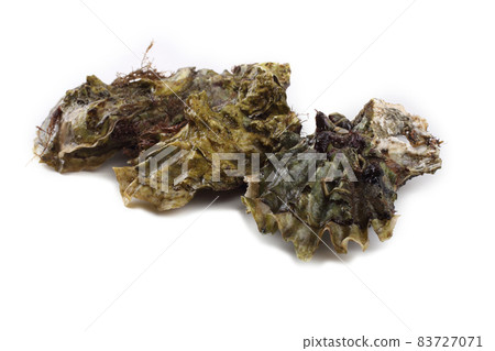 Oysters isolated on white 83727071