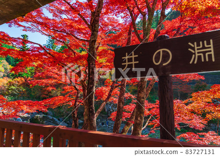 View from Oidaira Park, Observatory in Autumn <Toyota City, Aichi Prefecture> View from Oidaira Park, Observatory in Autumn <Toyota City, Aichi Prefecture> 83727131