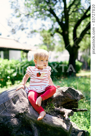 Little barefoot kid sits on a tree stump in a green park 83727810