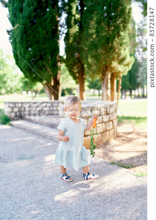 Little girl with a carrot in her hand walks along the cobbled area in the park Little girl with a carrot in her hand walks along the cobbled area in the park 83728147