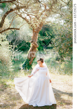 A sophisticated bride stands in an olive grove in a glade flooded with light and holds the edge of her dress with her hand A sophisticated bride stands in an olive grove in a glade flooded with light and holds the edge of her dress with her hand 83729175