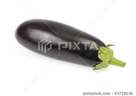 Ripe black purple eggplant with a green tail on a white background. Ripe black purple eggplant with a green tail on a white background. 83729236