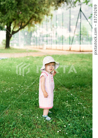 Little girl in a hat stands on a green meadow among wildflowers 83729269