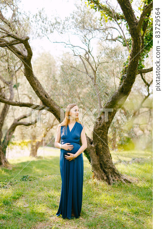Pregnant girl in a long blue dress looks pensively to the side against the background of huge green olive trees 83729564
