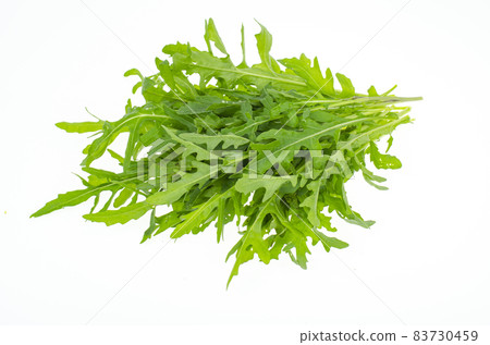 Fresh green farm arugula leaves for cooking use. Studio Photo Fresh green farm arugula leaves for cooking use. Studio Photo 83730459