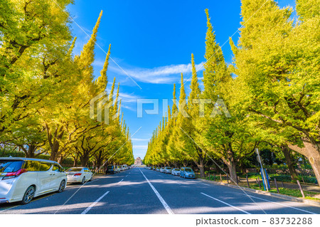 Tokyo cityscape of Japan View of Jingu Gaien's row of ginkgo trees 83732288