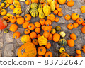Diverse assortment of pumpkins on the ground. Autumn harvest. 83732647