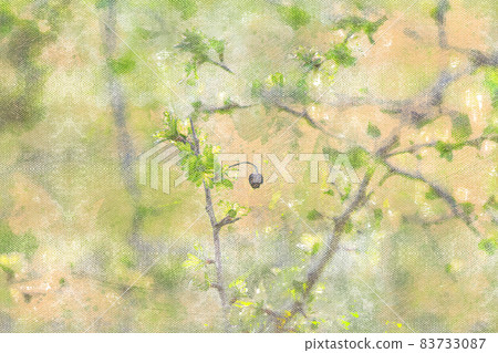 Spring gooseberry bush with new green leaves. Spring gooseberry bush with new green leaves. 83733087