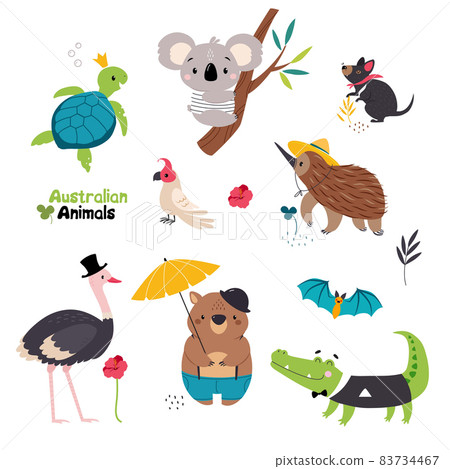 Australian Animals with Kangaroo Koala Bear on Tree and Wombat with Umbrella Vector Set Australian Animals with Kangaroo Koala Bear on Tree and Wombat with Umbrella Vector Set 83734467