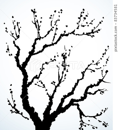 Vector image of mighty tree with bare branches Vector image of mighty tree with bare branches 83734581