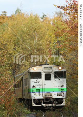 Sekihoku Main Line, Sekihoku Line, regular train, Kiha 40, about to retire 83735740