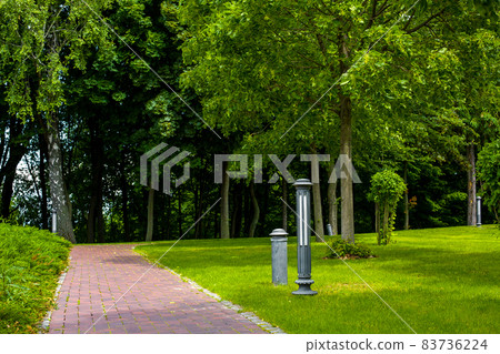 lantern iron ground garden lighting of a park path paved with stone tiles in the backyard among plants, bushes and trees surrounded by a green lawn on a sunny summer day, nobody. lantern iron ground garden lighting of a park path paved with stone tiles in the backyard among plants, bushes and trees surrounded by a green lawn on a sunny summer day, nobody. 83736224