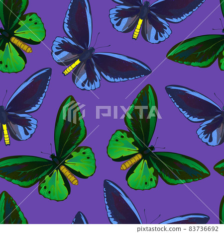Seamless pattern with colorful big tropical butterflies, swallowtail and birdwing, papilio and ornitoptera papilionidae. 83736692