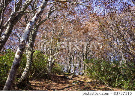 Very beautiful autumn mountain scenery in Japan 83737110