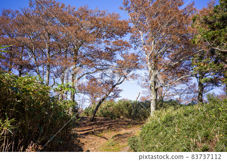 Very beautiful autumn mountain scenery in Japan 83737112
