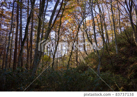 Very beautiful autumn mountain scenery in Japan 83737138