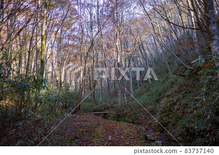 Very beautiful autumn mountain scenery in Japan 83737140