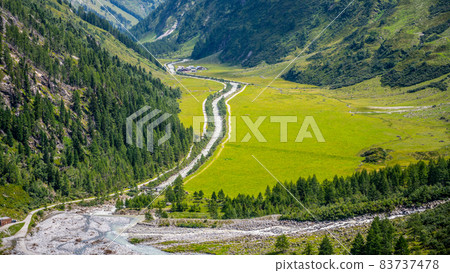 Green meadow in alpine valley, Green meadow in alpine valley, 83737478