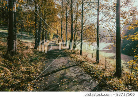 Narrow rural asphalt road in autumn time Narrow rural asphalt road in autumn time 83737500