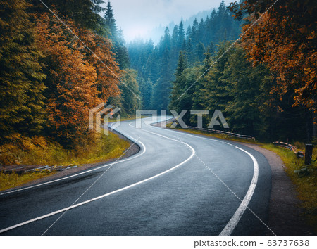 Road in autumn foggy forest at sunset in rainy day Road in autumn foggy forest at sunset in rainy day 83737638