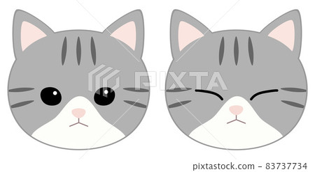 Gray bee cat with two different facial expressions 83737734