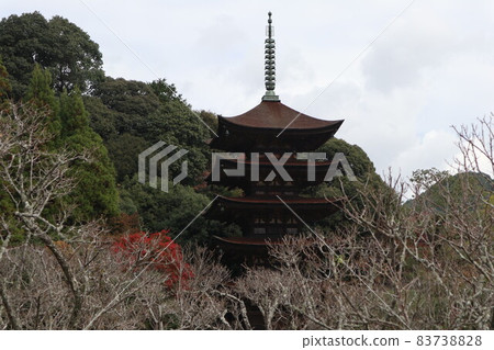 山口琉璃光寺的秋葉 83738828