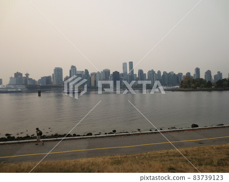加拿大斯坦利公園散步時對岸的城市景觀 加拿大斯坦利公園散步時對岸的城市景觀 83739123