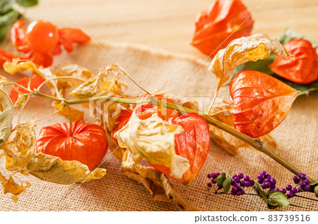 Dried flower Dried flower 83739516
